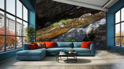 Grass, rock and streaming water Wall mural