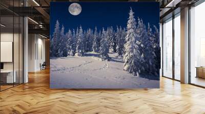 Beautiful winter landscape in the mountains at night with stars Wall mural