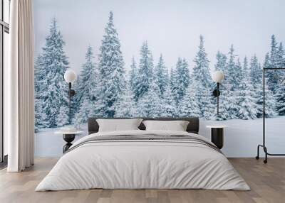 Bright winter morning in mountain forest with snow covered fir trees. Splendid outdoor scene, Happy New Year celebration concept. Artistic style post processed photo. Wall mural