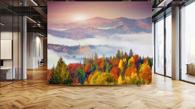 colorful autumn morning in the carpathian mountains. sokilsky ri Wall mural