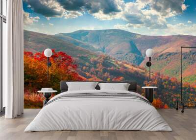 Colorful autumn morning in the Carpathian mountains Wall mural