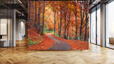 Colorful autumn scene in the mountain forest Wall mural