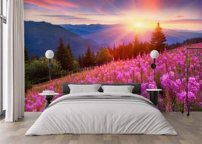 Colorful summer sunrise in the mountains with pink flowers. Wall mural