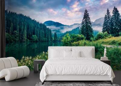 Dramatic morning scene of Lacu Rosu lake. Misty summer sunrise in Harghita County, Romania, Europe. Beauty of nature concept background. Wall mural