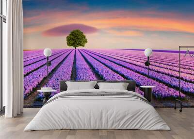 Dramatic spring scene on the flowers farm. Wall mural