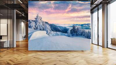 Frosty winter morning in Carpathian mountains with snow covered fir trees. Colorful outdoor scene before sunrise, Happy New Year celebration concept. Artistic style post processed photo. Wall mural