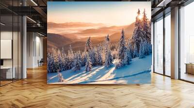 Impressive winter scene of Carpathian mountains with snow covered fir trees. Spectacular outdoor scene of moumtain forest. Beauty of nature concept background. Wall mural