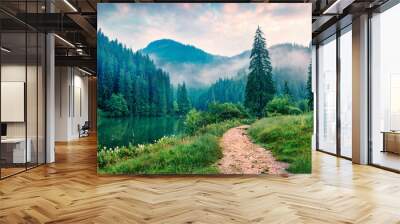 misty morning scene of lacu rosu lake. foggy summer sunrise in harghita county, romania, europe. bea Wall mural