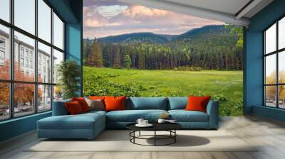 Old lake is overgrown with green reeds. Splendor summer view of Gorgany mountains. Splendid morning scene of Carpathian mountains, Ukraine, Europe. Beauty of nature concept background.. Wall mural