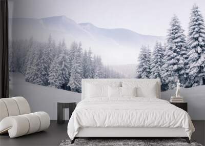 Panorama of the foggy winter landscape in the mountains Wall mural