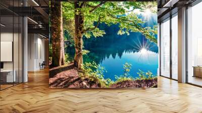 Stunning summer view of Fusine lake. First rays of the sun sparkle through the green leaves of the old forest. Splendid morning scene of Julian Alps, Province of Udine, Italy, Europe. Wall mural