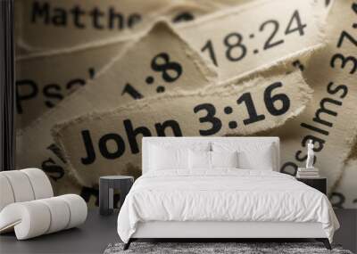 john 3:16 Wall mural