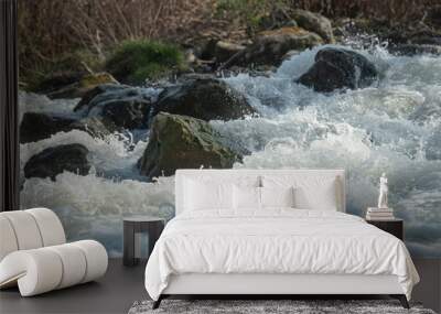 Running mountain river. Abstract shapes made of water. Wall mural