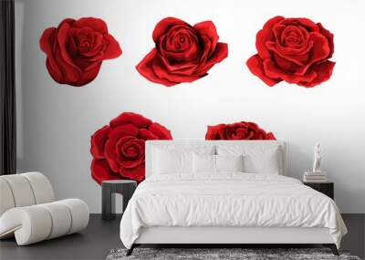 Scarlet rose flowers red buds set. Design elements collection isolated on white Wall mural