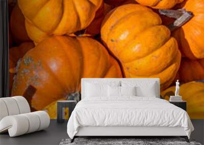 Pumpkins squash and gourds Wall mural