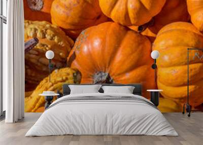 Pumpkins squash and gourds Wall mural