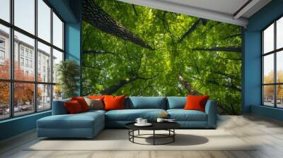 View of green tree tops from below Wall mural