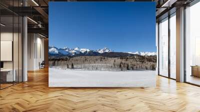 San Juan Mountains Winter Panorama Wall mural