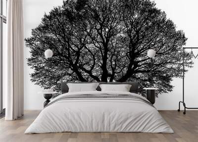 Black silhouette of a tree without leaves on white background. Wall mural