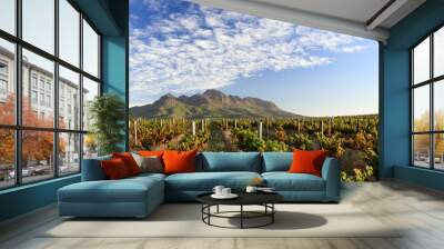 Autumn vineyards and mountain - scenic landscape in the Stellenbosch wine lands near Cape Town, South Africa. Wall mural