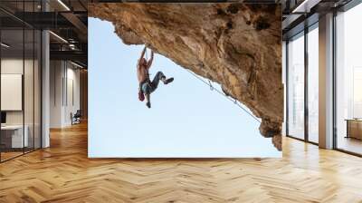 Male rock climber on challenging route on cliff  Wall mural