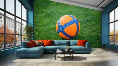 Soccer ball on green grass Wall mural