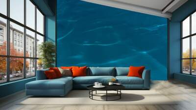 Blue dark clear pool water abstract nature pattern reflection wave surface transparent underwater background Wall mural