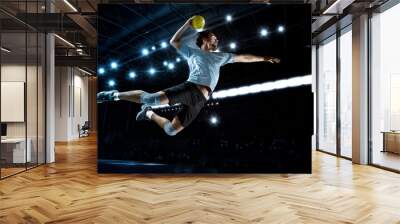 Handball player players in action Wall mural