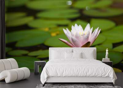 Water lily in the pond Wall mural