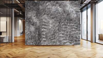 Faux fur grey wool abstract pattern nature skin soft warm fluffy background texture Wall mural