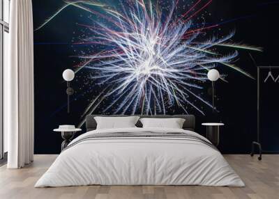 fireworks in the night sky Wall mural