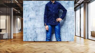 boy posing with rabbit Wall mural