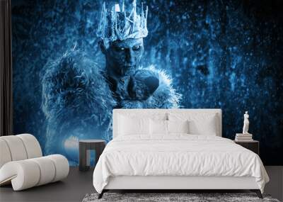 crowned knight in snow Wall mural