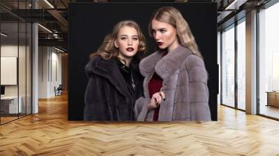 mink fur coats Wall mural