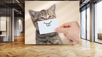 funny cat with smile on cardboard Wall mural