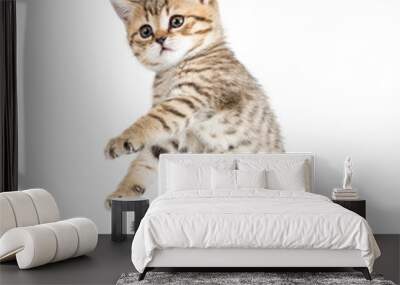 Funny dancing kitten on white background Wall mural