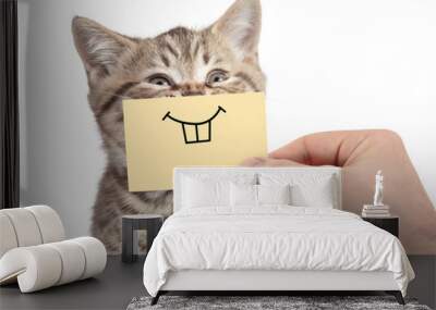 happy cat with funny smile on cardboard isolated on white Wall mural