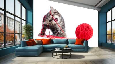 nice tabby kitten playing red clew or ball Wall mural