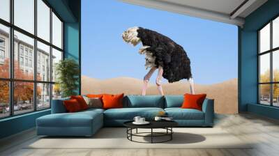 scared ostrich burying its head in sand concept Wall mural