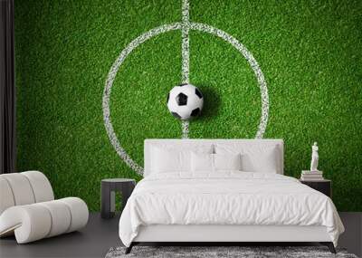 soccer field center and ball top view background Wall mural