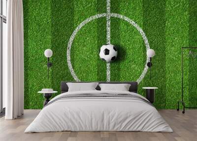 soccer field center and ball top view background Wall mural