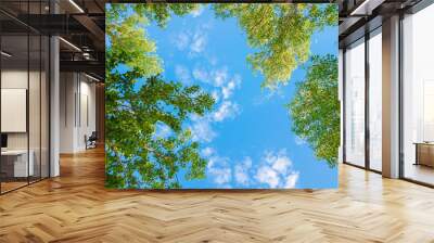 green foliage of trees against blue sky and clouds. spring or summer sunny day. Wall mural