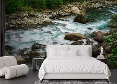 Mountain River rages on rocks on a cloudy day Wall mural