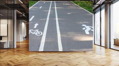 Asphalt path in a park with markings for pedestrians and bicycles Wall mural