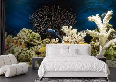 Freshwater aquarium in pseudo-sea style. Aquascape and aquadesign.	 Wall mural