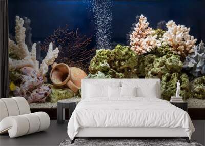 Freshwater aquarium in pseudo-sea style. Aquascape and aquadesign.	 Wall mural