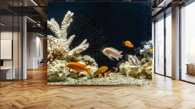 Freshwater aquarium in pseudo-sea style. Aquascape and aquadesign.	 Wall mural