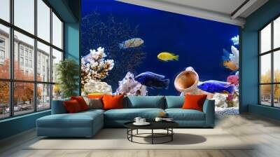 Freshwater aquarium in pseudo-sea style. Aquascape and aquadesign.	 Wall mural