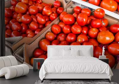 organic market red agriculture tomatoes farm delicious vegetables tomato food vegetarian healthy fre Wall mural