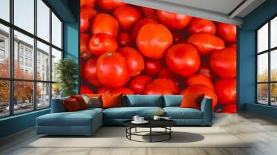 organic market red agriculture tomatoes farm delicious vegetables tomato food vegetarian healthy fre Wall mural